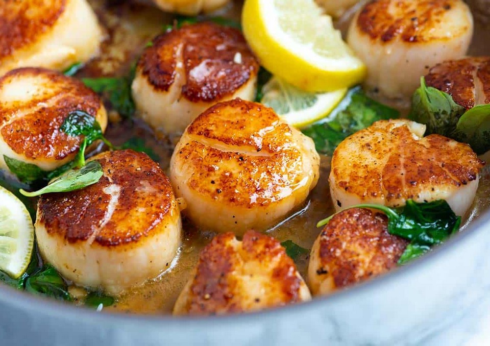 Pan-fried scallops